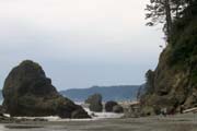 20090623_DSM_RubyBeachWAPiedPiper