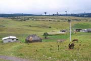 20070729c_IndigenousHome