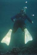 20070803h_U108A_D_FloreanaDevilsCrown_Snorkeling