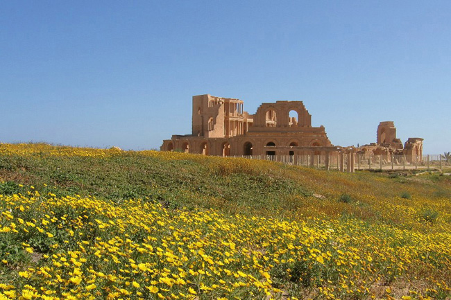 20060326a_SabrathaTheaterFlowers