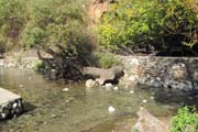 20101228i_BaniasSprings