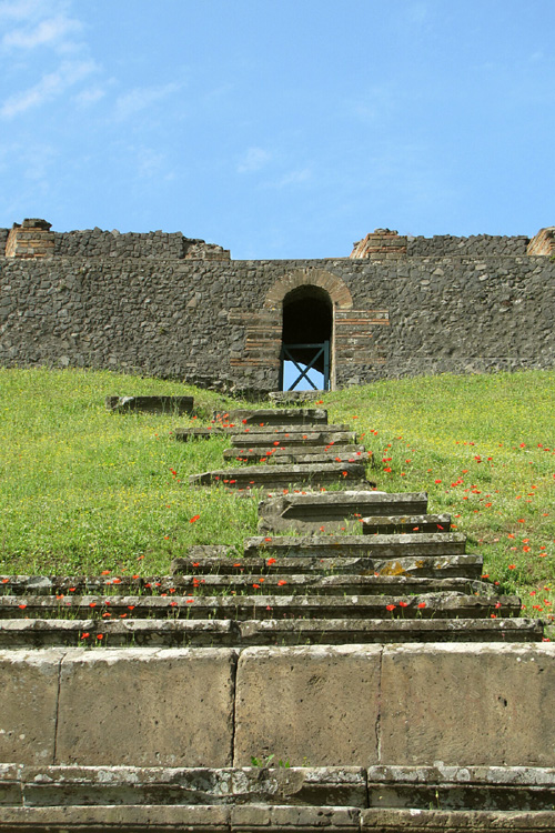 20120609c_PompeiiAmphitheaterPoppies