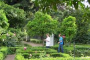 20120604n_SM_RomePalatineGarden